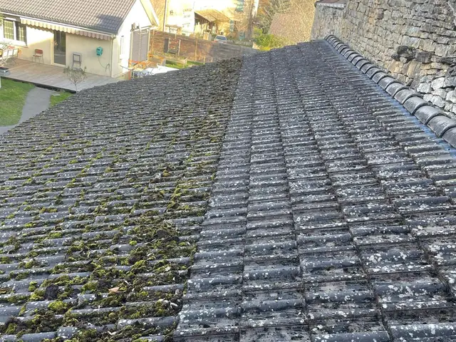 Démoussage en cours sur une toiture en tuiles béton