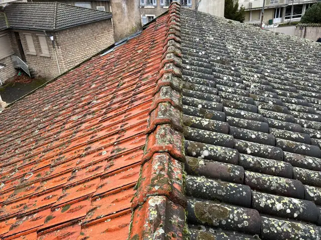 Deux versants mitoyens : tuiles mécaniques et tuiles canal lichéneuses