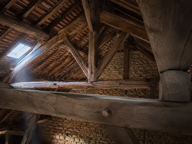 Charpente et traitement du bois — Bresse Rénovation